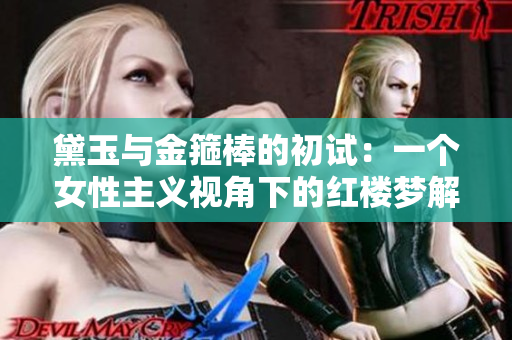 黛玉與金箍棒的初試：一個女性主義視角下的紅樓夢解讀