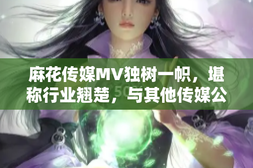 麻花傳媒MV獨樹一幟，堪稱行業翹楚，與其他傳媒公司對比毫不遜色