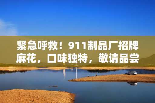 緊急呼救！911制品廠招牌麻花，口味獨特，敬請品嘗