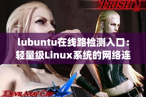lubuntu在線路檢測入口：輕量級Linux系統的網絡連接測評(1)