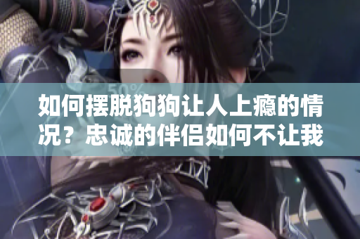 如何擺脫狗狗讓人上癮的情況？忠誠的伴侶如何不讓我們沉迷無法自拔？