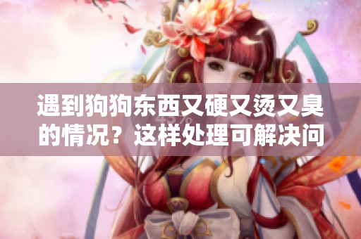 遇到狗狗東西又硬又燙又臭的情況？這樣處理可解決問題
