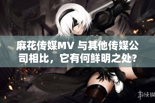 麻花傳媒MV 與其他傳媒公司相比，它有何鮮明之處？