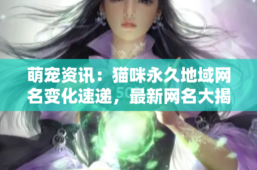萌寵資訊：貓咪永久地域網名變化速遞，最新網名大揭秘