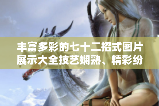 豐富多彩的七十二招式圖片展示大全技藝嫻熟、精彩紛呈令人震撼!