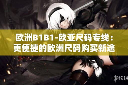 歐洲B1B1-歐亞尺碼專線：更便捷的歐洲尺碼購買新途徑