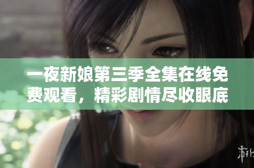 一夜新娘第三季全集在線免費觀看，精彩劇情盡收眼底