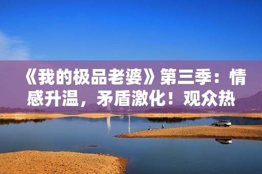 《我的極品老婆》第三季：情感升溫，矛盾激化！觀眾熱淚盈眶！