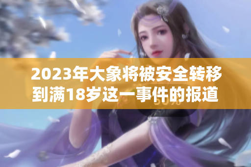 2023年大象將被安全轉(zhuǎn)移到滿18歲這一事件的報(bào)道