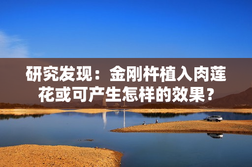 研究發現：金剛杵植入肉蓮花或可產生怎樣的效果？