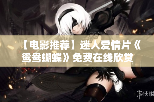 【電影推薦】迷人愛情片《鴛鴦蝴蝶》免費在線欣賞