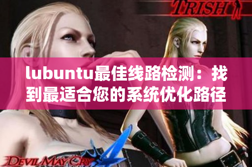 lubuntu最佳線路檢測：找到最適合您的系統優化路徑