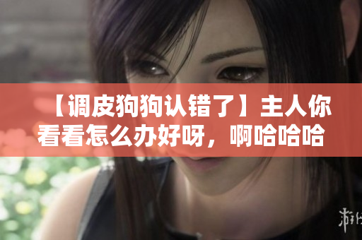【調皮狗狗認錯了】主人你看看怎么辦好呀，啊哈哈哈哈！