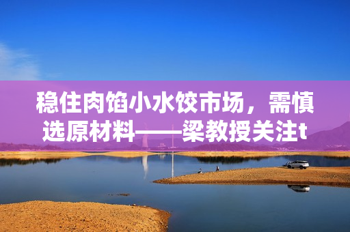 穩住肉餡小水餃市場，需慎選原材料——梁教授關注txt餃子質量提升