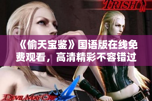 《偷天寶鑒》國語版在線免費(fèi)觀看，高清精彩不容錯過！