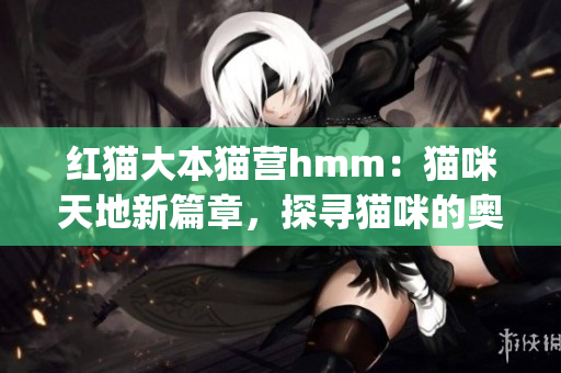 紅貓大本貓營hmm：貓咪天地新篇章，探尋貓咪的奧秘與樂趣(1)