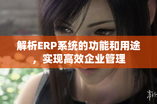 解析ERP系統的功能和用途，實現高效企業管理