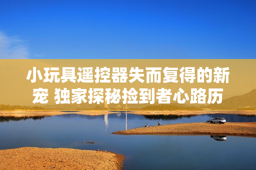 小玩具遙控器失而復得的新寵 獨家探秘撿到者心路歷程