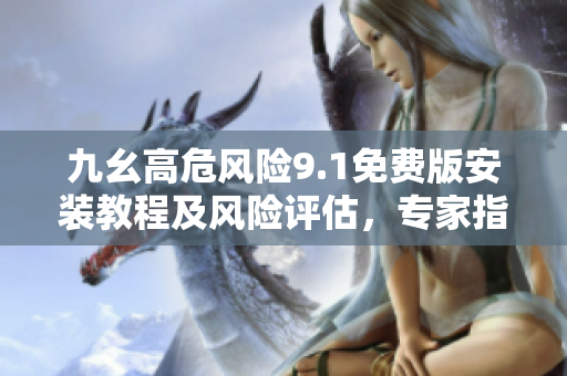 九幺高危風險9.1免費版安裝教程及風險評估，專家指導保證安全