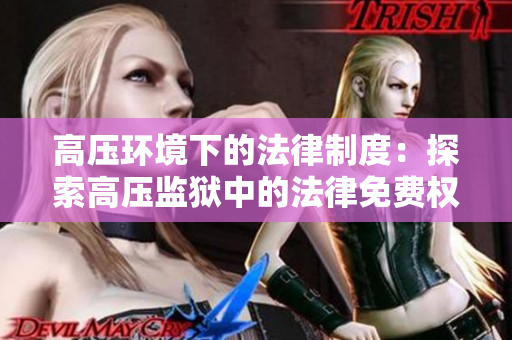 高壓環境下的法律制度：探索高壓監獄中的法律免費權利