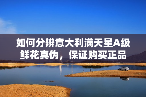 如何分辨意大利滿天星A級鮮花真偽，保證購買正品