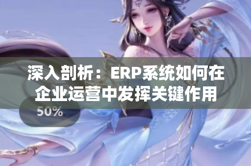 深入剖析：ERP系統(tǒng)如何在企業(yè)運(yùn)營中發(fā)揮關(guān)鍵作用