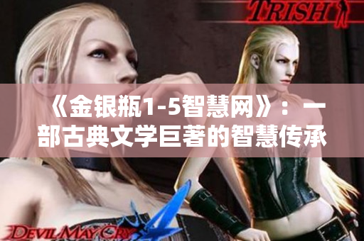 《金銀瓶1-5智慧網》：一部古典文學巨著的智慧傳承