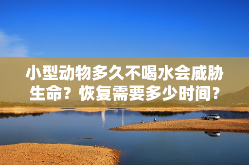小型動物多久不喝水會威脅生命？恢復(fù)需要多少時間？