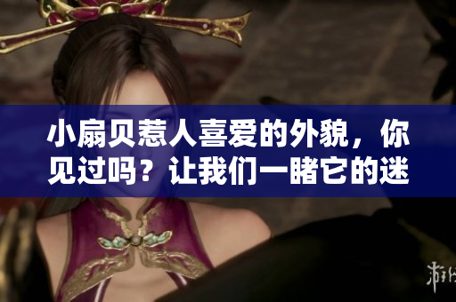 小扇貝惹人喜愛的外貌，你見過嗎？讓我們一睹它的迷人之處！