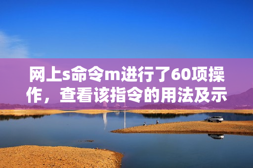 網上s命令m進行了60項操作，查看該指令的用法及示例