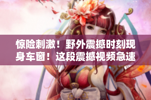 驚險刺激！野外震撼時刻現身車窗！這段震撼視頻急速傳播！