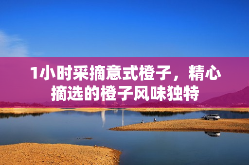 1小時采摘意式橙子，精心摘選的橙子風味獨特