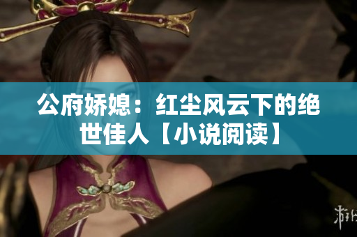 公府嬌媳：紅塵風云下的絕世佳人【小說閱讀】