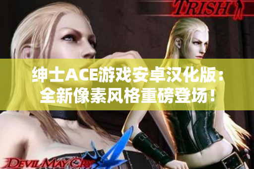 紳士ACE游戲安卓漢化版：全新像素風格重磅登場！