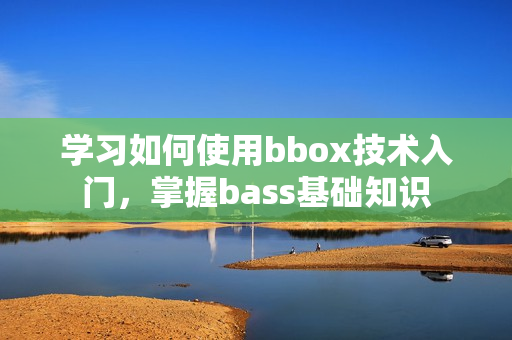 學習如何使用bbox技術入門，掌握bass基礎知識