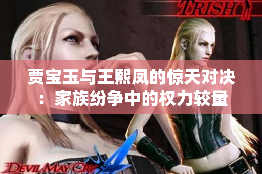 賈寶玉與王熙鳳的驚天對決：家族紛爭中的權力較量