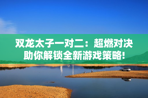 雙龍?zhí)右粚?duì)二：超燃對(duì)決助你解鎖全新游戲策略!
