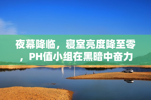 夜幕降臨，寢室亮度降至零，PH值小組在黑暗中奮力編輯