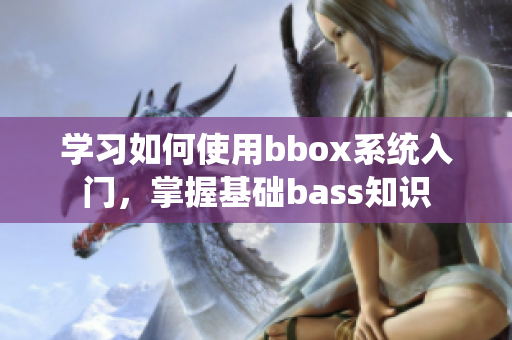 學習如何使用bbox系統入門，掌握基礎bass知識