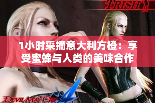 1小時采摘意大利方橙：享受蜜蜂與人類的美味合作