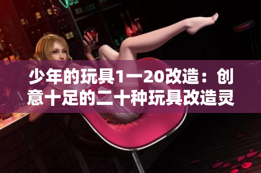 少年的玩具1一20改造：創(chuàng)意十足的二十種玩具改造靈感