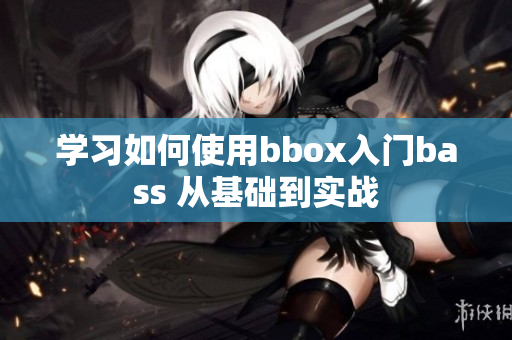 學習如何使用bbox入門bass 從基礎到實戰(zhàn)