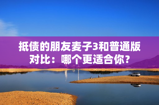 抵債的朋友麥子3和普通版對比：哪個更適合你？