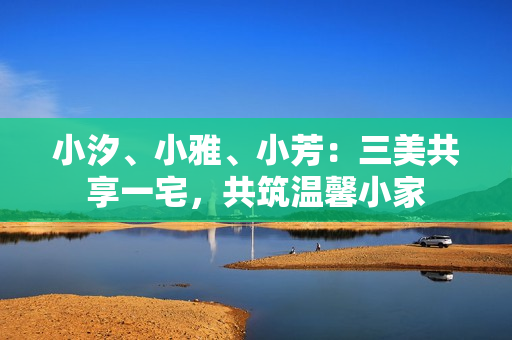 小汐、小雅、小芳：三美共享一宅，共筑溫馨小家