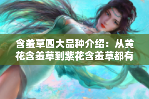 含羞草四大品種介紹：從黃花含羞草到紫花含羞草都有哪些特點？