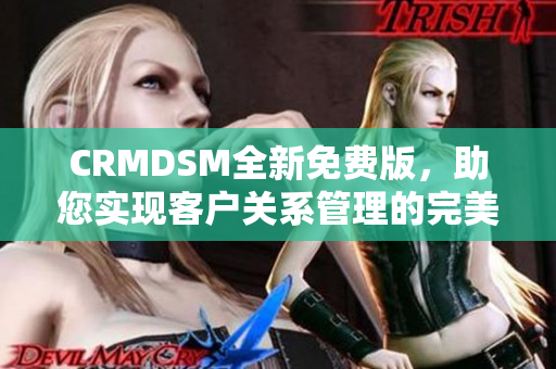 CRMDSM全新免費版，助您實現客戶關系管理的完美升級
