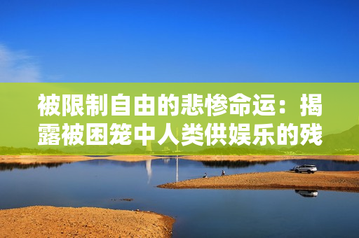 被限制自由的悲慘命運(yùn)：揭露被困籠中人類供娛樂(lè)的殘酷現(xiàn)實(shí)