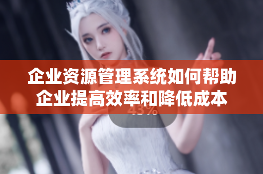 企業(yè)資源管理系統(tǒng)如何幫助企業(yè)提高效率和降低成本