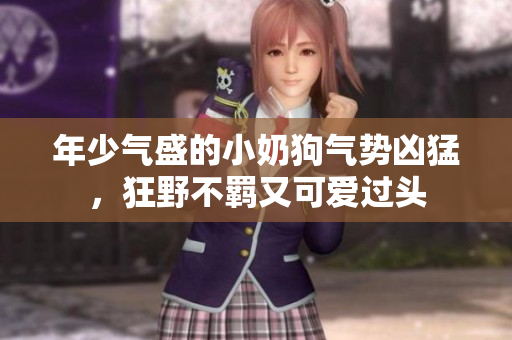 年少氣盛的小奶狗氣勢(shì)兇猛，狂野不羈又可愛過頭
