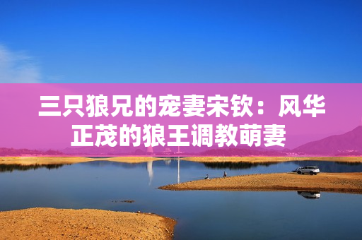 三只狼兄的寵妻宋欽：風(fēng)華正茂的狼王調(diào)教萌妻 